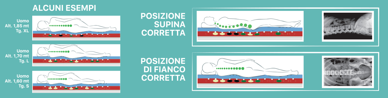 Come può un materasso morbido o rigido uguale dalla testa ai piedi definirsi ortopedico ed essere adatto a noi che siamo diversi dalla testa ai piedi? Grazie ad anni di ricerche e sperimentazioni, conoscendo pochi e semplici dati corporei, possiamo realizzare una soluzione personalizzata adatta alle sue esigenze e che potrà riadattare in funzione ad eventuali cambiamenti fisici.